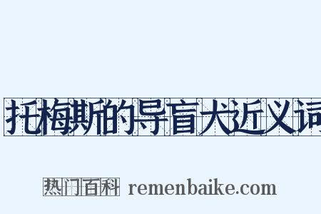 托梅斯的导盲犬近义词是什么意思的图片
